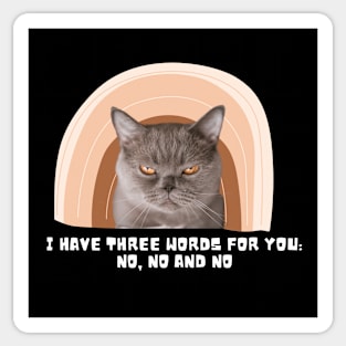 Grumpy Cat Fun with Rainbow Sticker